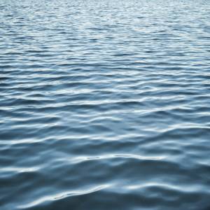 Nie żyje gwiazdor disco polo. Dramat rozegrał się podczas wieczoru kawalerskiego                    