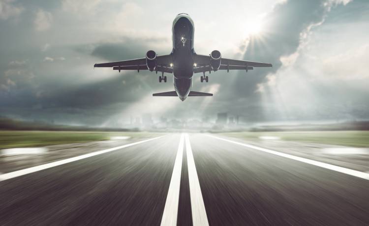 Uciekł jej samolot, więc postanowiła za nim biec. Została aresztowana [WIDEO]