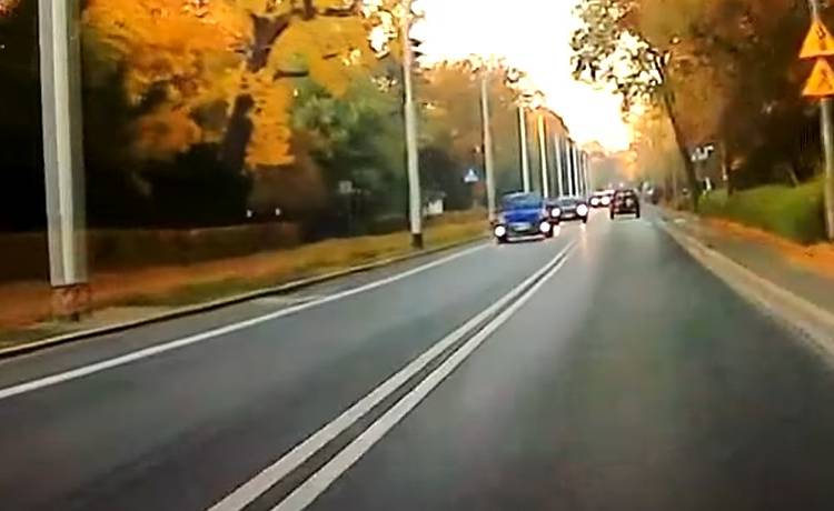 Nietypowy pasażer "na gapę" jechał na szybie samochodu... Nagranie z Wrocławia zaskoczyło internautów! [WIDEO]