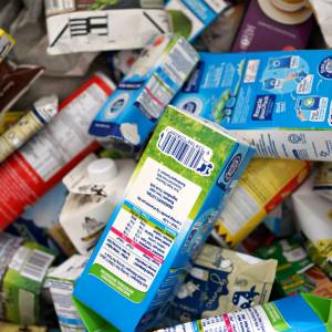 Do którego pojemnika wyrzucić karton po mleku? Odpowiedź zaskoczy