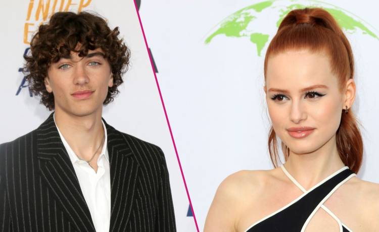 Kathy Hutchins/Shutterstock