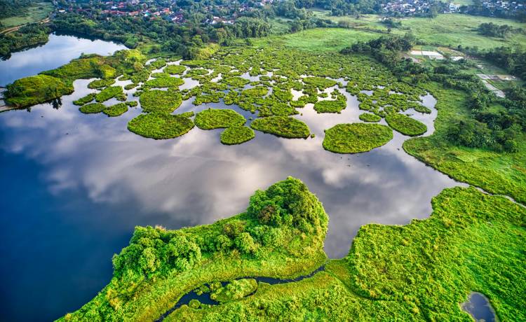 Fot. Materiały prasowe