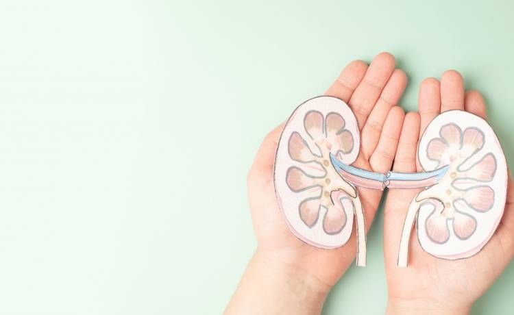 fot. shutterstock.com