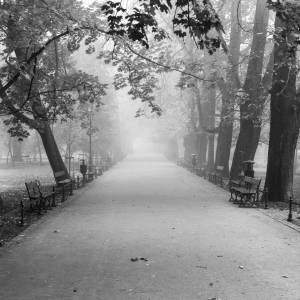 29-latek w Krakowie został pobity w środku nocy. Nie żyje