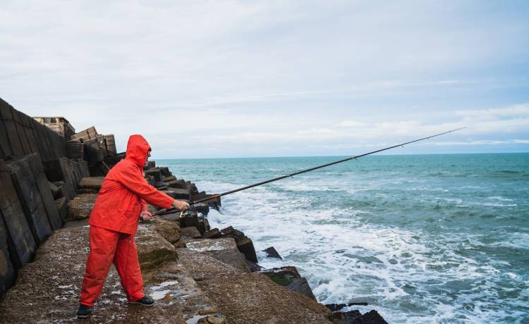 Na plaży znaleźli największą ośmiornicę w historii? Wiele na to wskazuje [FOTO]