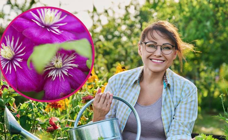 fot. shutterstock.com