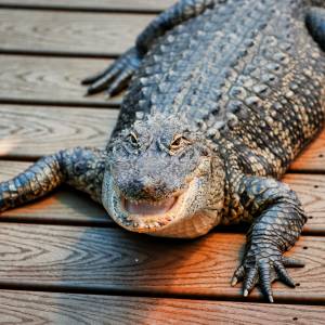 Usłyszała pukanie do drzwi. Kiedy je otworzyła, nie wierzyła własnym oczom! [FOTO]
