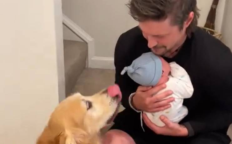 Miał w domu dwa psy. Zaskakujące, jak jeden z nich zareagował na noworodka! [WIDEO]