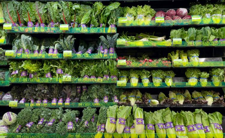 fot. shutterstock.com