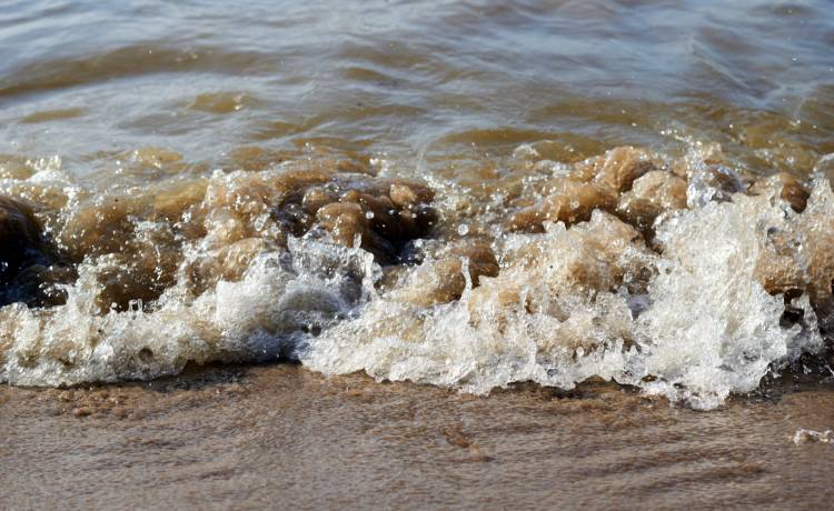 "Martwe strefy" w Bałtyku są coraz większe. Swoim zasięgiem obejmą 60 tysięcy kilometrów