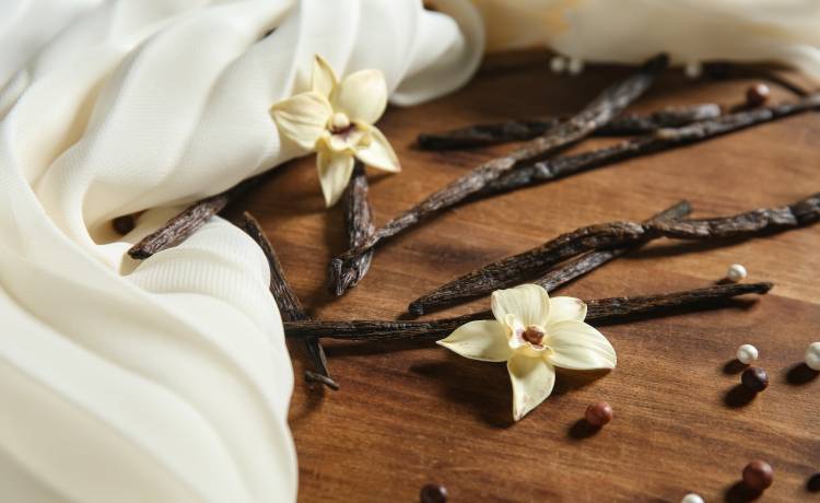 Pixel-Shot/Shutterstock