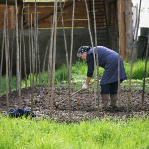 "Łopatowa hakerka" spod Tbilisi odłączyła internet w trzech krajach