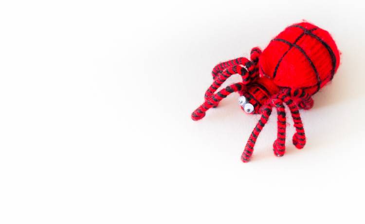 Większość się ich boi, choć mają całkiem zabawne nazwy! Zyzuś tłuścioch, rozciągnik mchuś... Wiesz o jakich zwierzętach mowa?