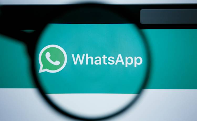 fot. shutterstock.com