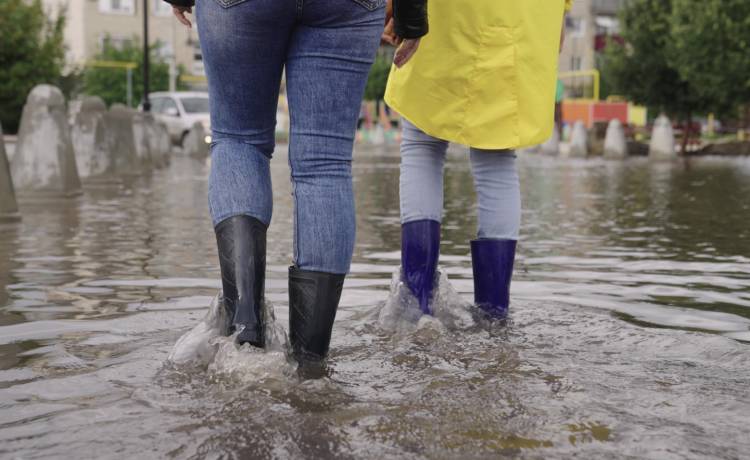 zdjęcie ilustracyjne, fot. Shutterstock/Valery Zotev