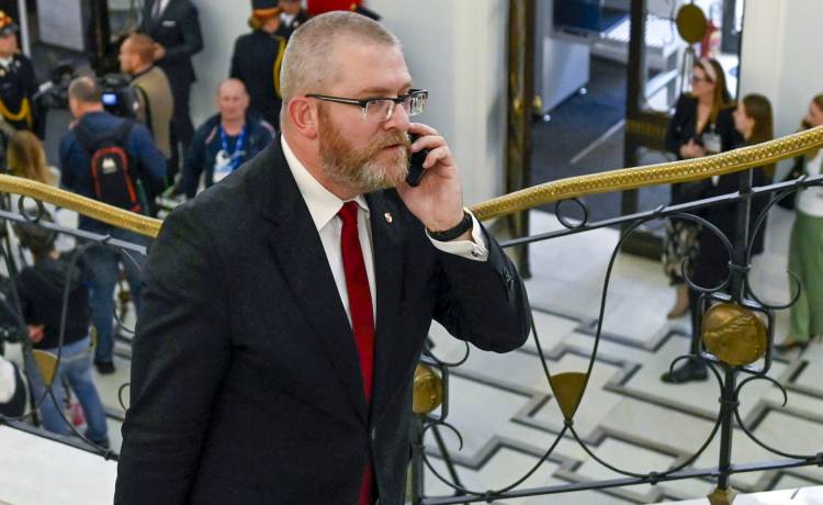 Stanowcza reakcja siostry Grzegorza Brauna. Fot. AKPA/Niemiec