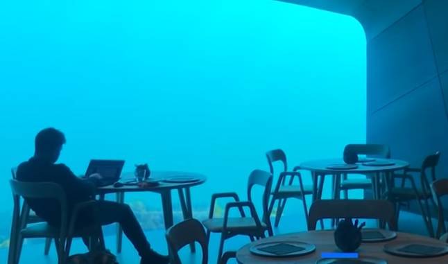 Podwodna restauracja "Under" już otwarta. Wnętrza robią wrażenie!