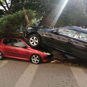 Gdynia: ściął drzewo i zaparkował swoje auto na innym samochodzie 