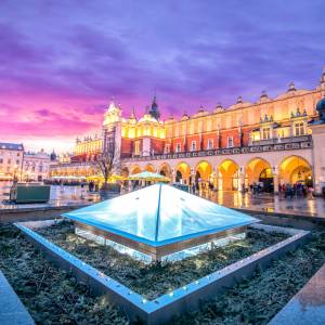 Niewiarygodne, co zarejestrowały kamery w Krakowie! Strażnicy miejscy byli w szoku [FOTO]