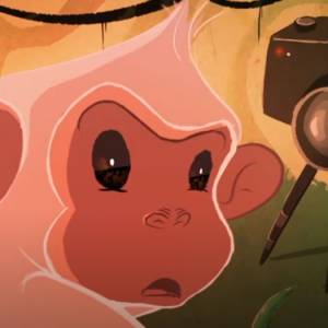 3. Kraków Green Film Festival. Ruszył bezpłatny serwis VOD!                                                                                 