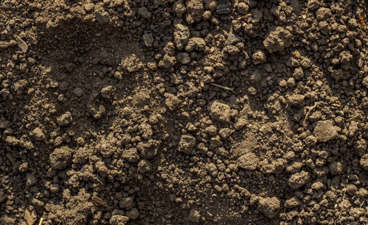 Musiał wzywać wojsko. Wszystko przez to, co znalazł w zamówionej ziemi