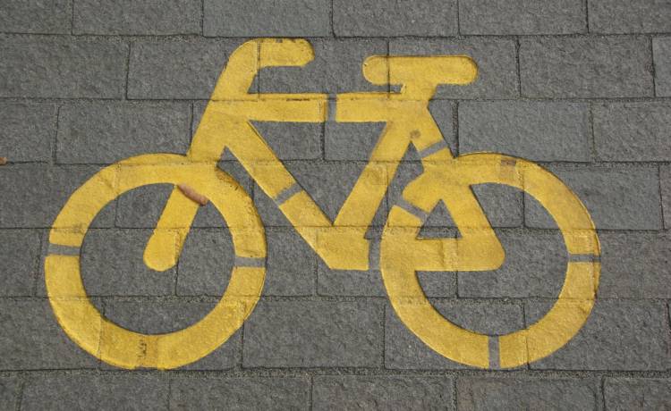 Jaki rower elektryczny kupić? Poradnik dla początkujących | BIEDRONKA HOME