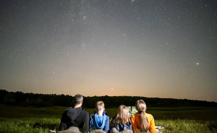 fot. shutterstock.com