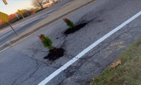 W dziurach na drodze zasadził drzewka! Niecodzienny sposób na naprawę jezdni [WIDEO]