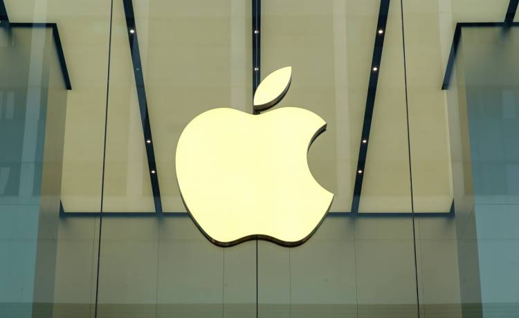 Apple, fot. Shutterstock/Daniel Fung