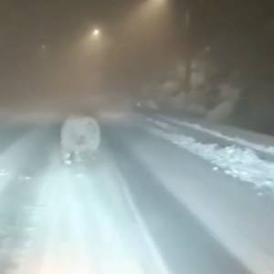 Czy niedźwiedzie już śpią? Nagranie z drapieżnikiem rozwiało wątpliwości i... oburzyło internautów! [WIDEO]