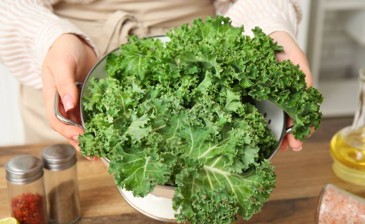 Jarmuż, fot. Shutterstock