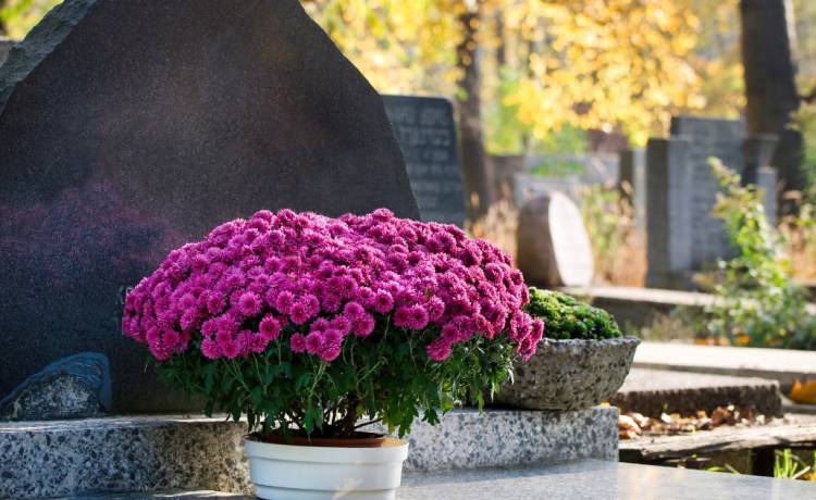 Czy wizyta na cmentarzu jest zakazana? Czy można iść na cmentarz? Czy cmentarze są zamknięte?