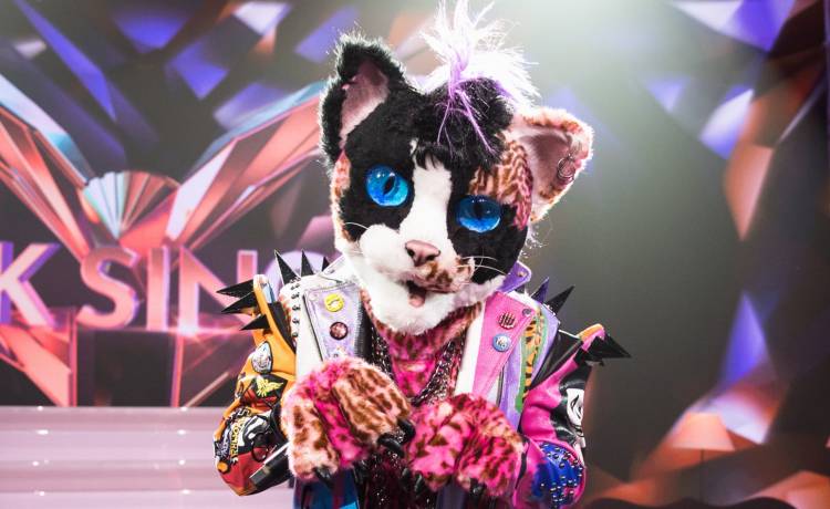 Kto ukrywa się pod maską Kota? Widzowie "Mask Singer" nie mają wątpliwości!