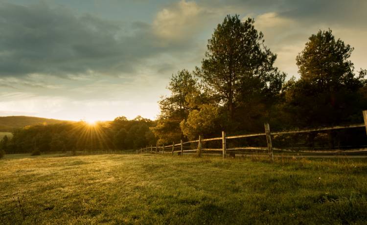 Latami żyli w całkowitej izolacji. 58-letni mężczyzna przetrzymywał na farmie 7 osób