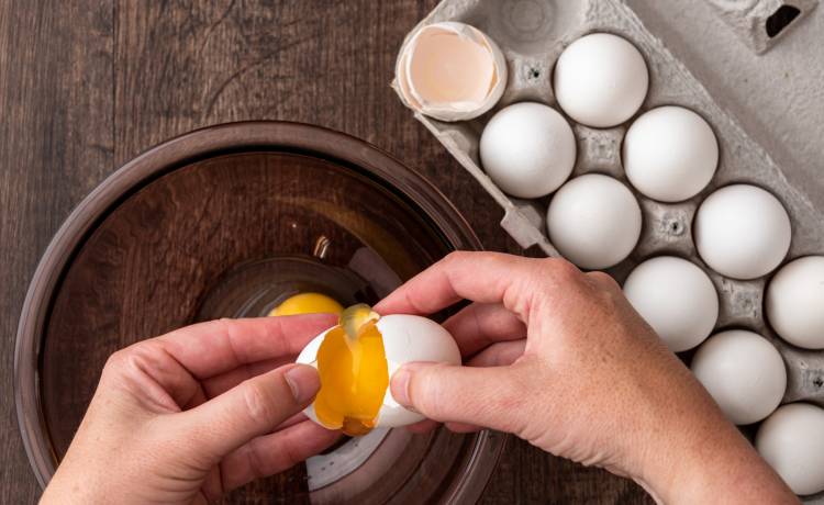 fot. shutterstock.com