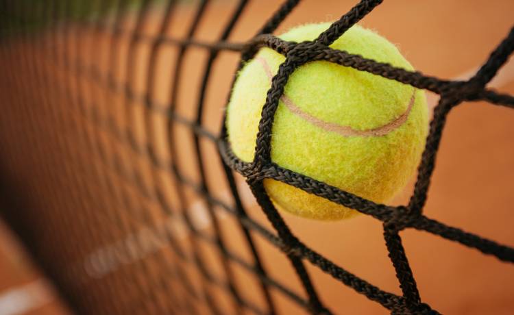 Popartic/Shutterstock