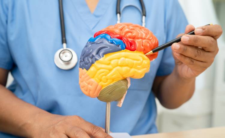 fot. shutterstock.com 