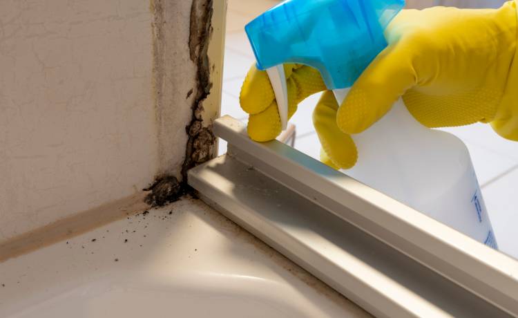 fot. shutterstock.com