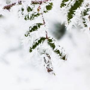 Śnieg na "wyspie wiecznej wiosny". Madera z zimowej szacie zachwyca!