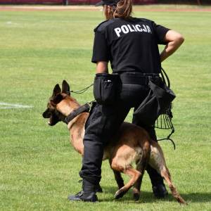 Emerytura dla czworonogów w służbach mundurowych. Co będzie im przysługiwać?