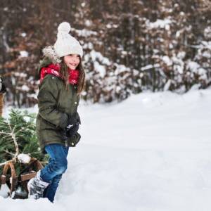 Żywa choinka na święta. Jak utrzymać jej żywotność?