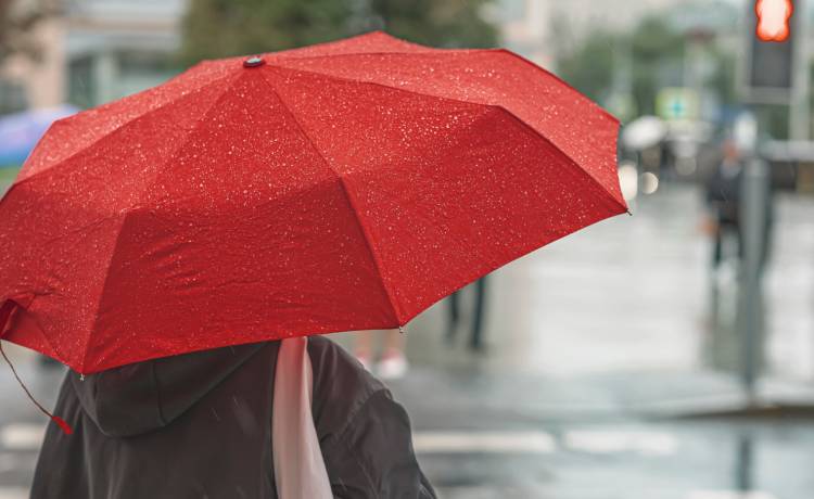 zdjęcie ilustracyjne, fot. Shutterstock/s8