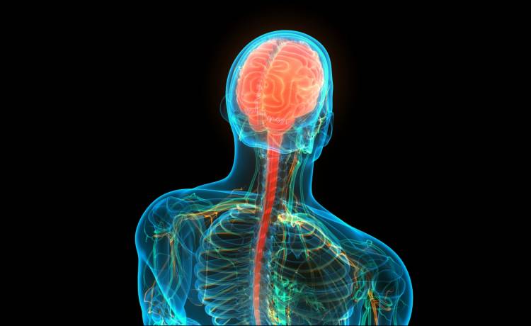 Zdrowy kręgosłup jest coraz rzadszym zjawiskiem w społeczeństwie. Jak można o niego zadbać?