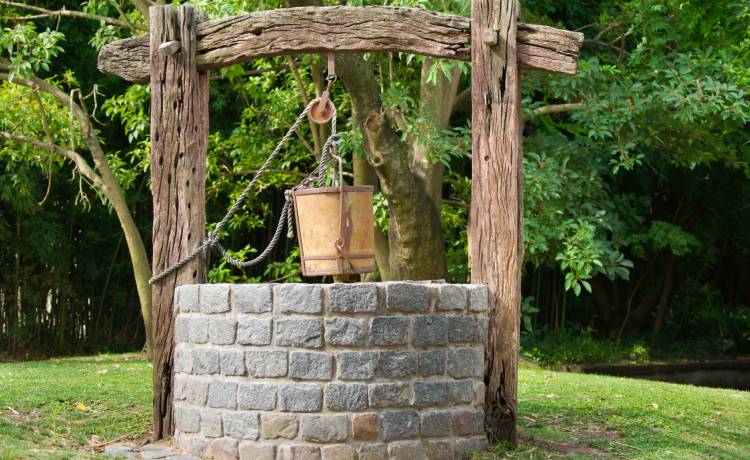 Mały koziołek wpadł do głębokiej studni. Na pomoc przyszli strażacy [FOTO]