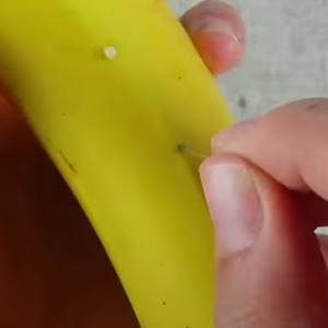 Wbij igłę w skórkę banana i zobacz, co niezwykłego się wydarzy! [WIDEO]