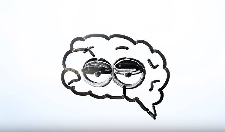 Zastanawiałeś się kiedyś, co się dzieje z Twoim mózgiem gdy śpisz? Sprawdź! [WIDEO]