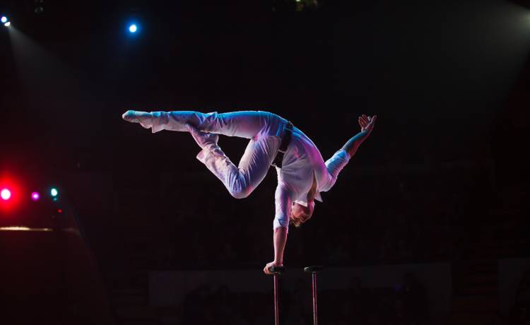 Akrobata spadł z wysokości 9 metrów. Wstrząsające sceny w cyrku 