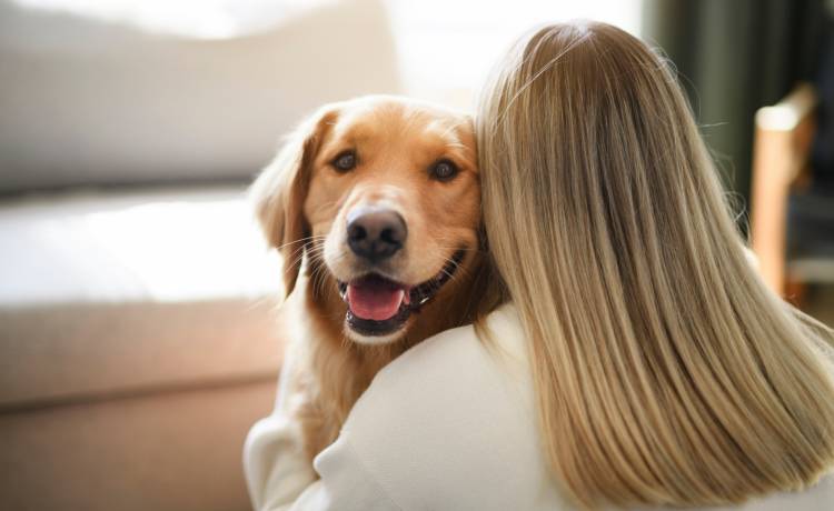  „Podatek od psa” idzie w górę! Sprawdź, ile zapłacisz w 2026 roku, fot. Shutterstock