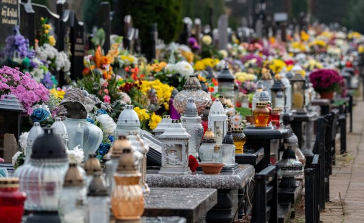 Wkład olejowy i parafinowy. Który z nich wybrać?