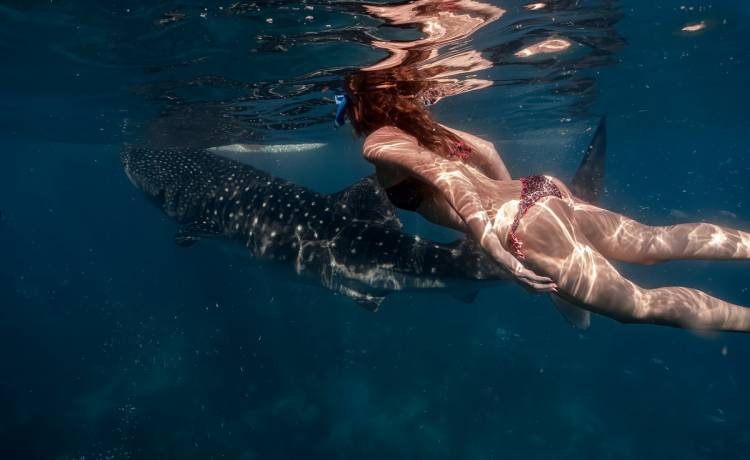 Tego nurkowania nie zapomni do końca życia. Nie takiego finału się spodziewała [+18 WIDEO] 